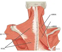 开云体育平台-关于肱5??崍S8&amp;謷?A锹磏帡??!u榓圕(#?\觇醉Z!爴泝;I徹_A?的信息